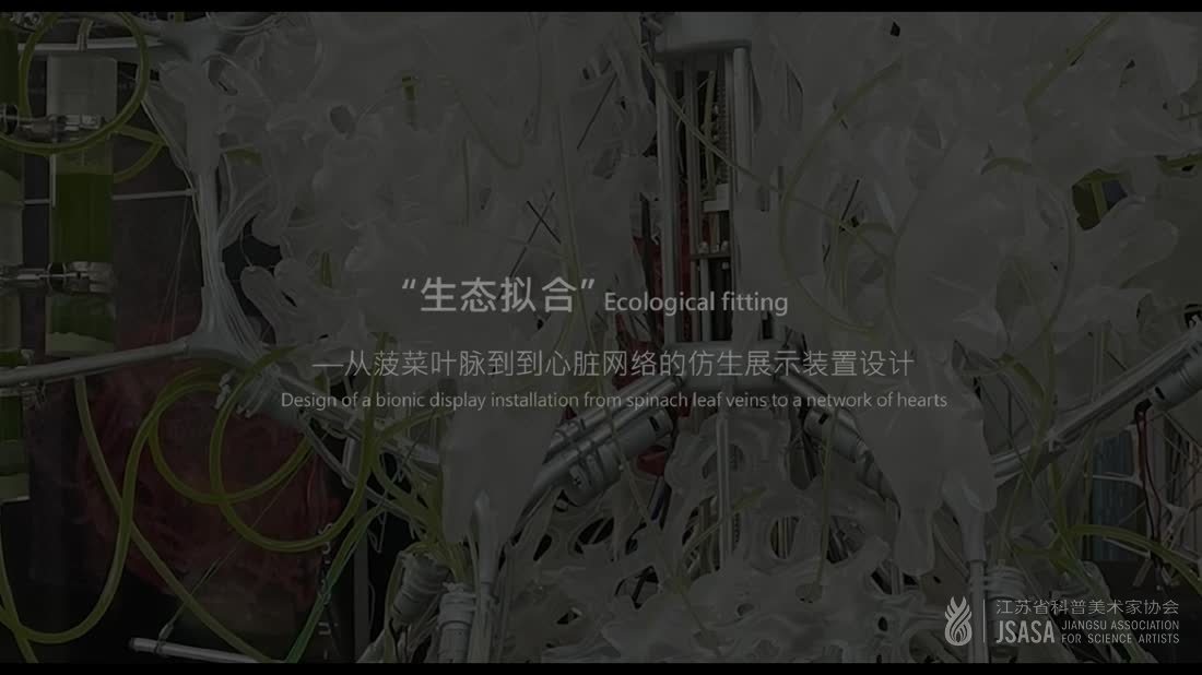 生态拟合
