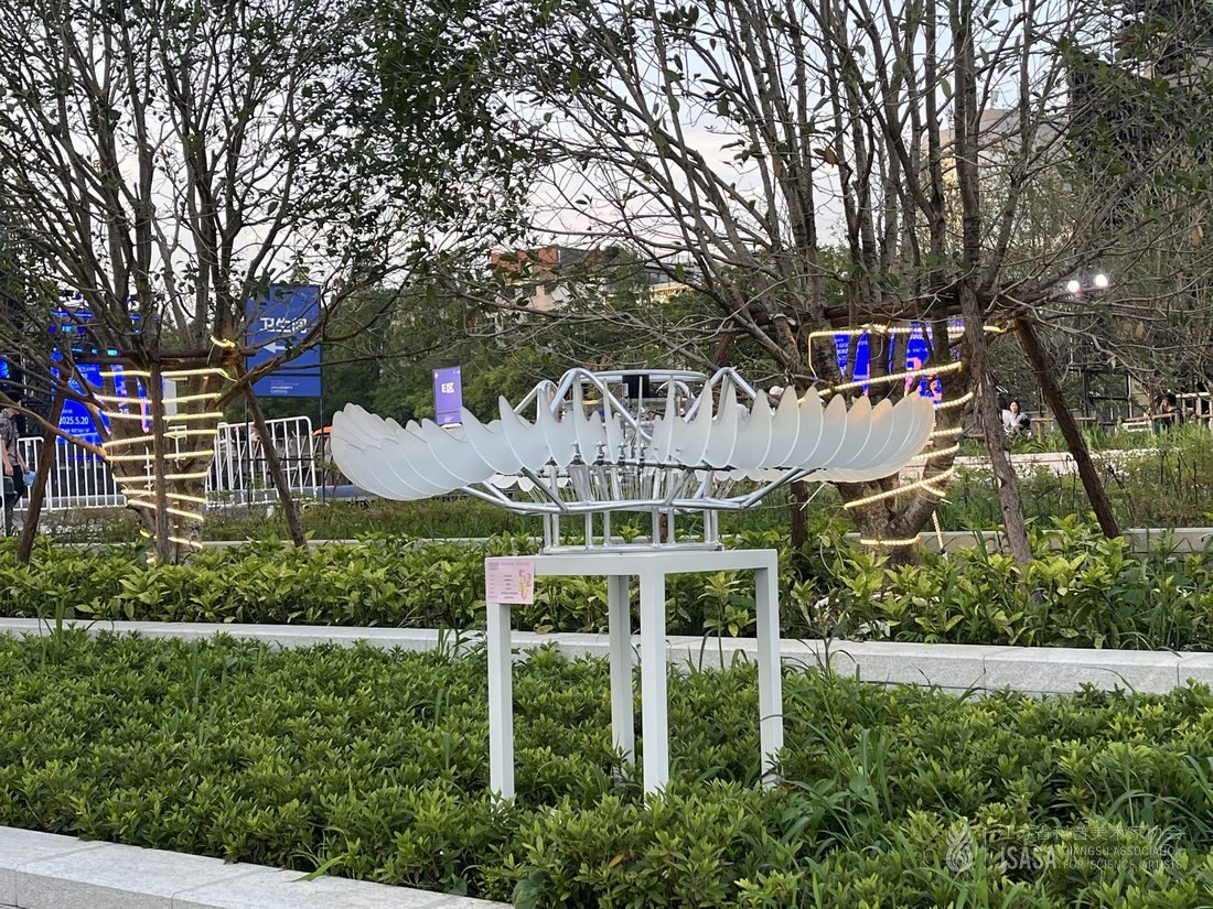 声波涟漪