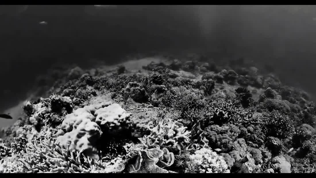 阈限之海
