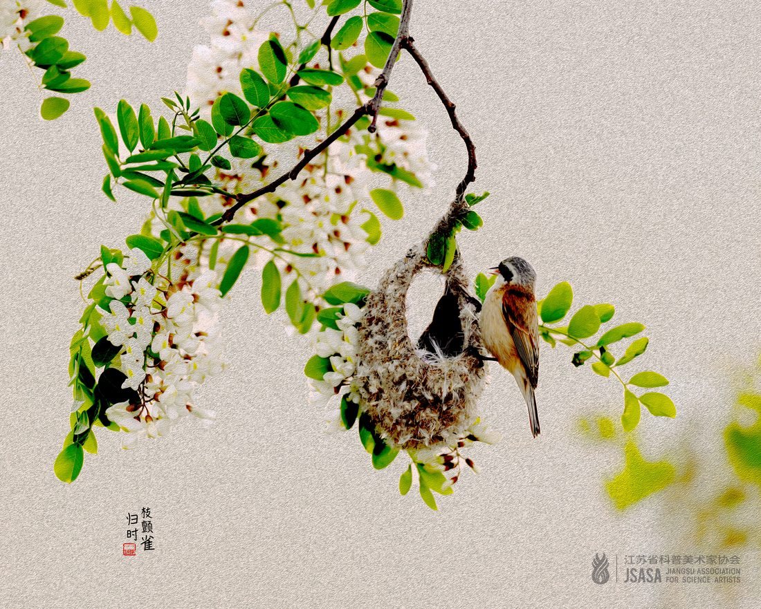 《时光慢半拍》