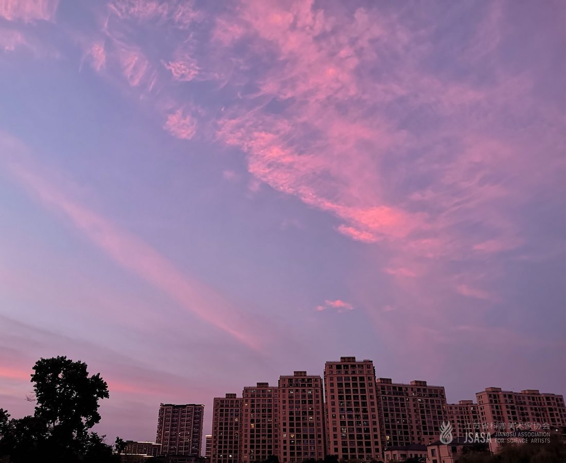 《禾下梦》