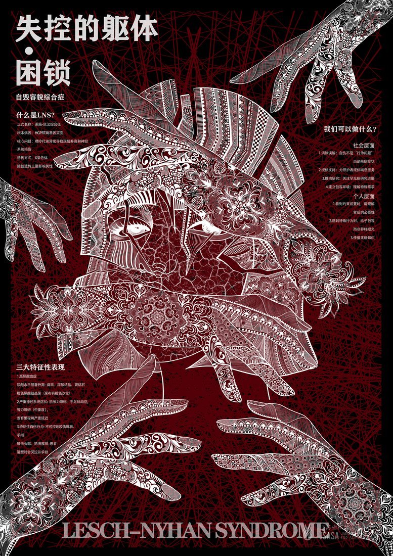 罕见之韵