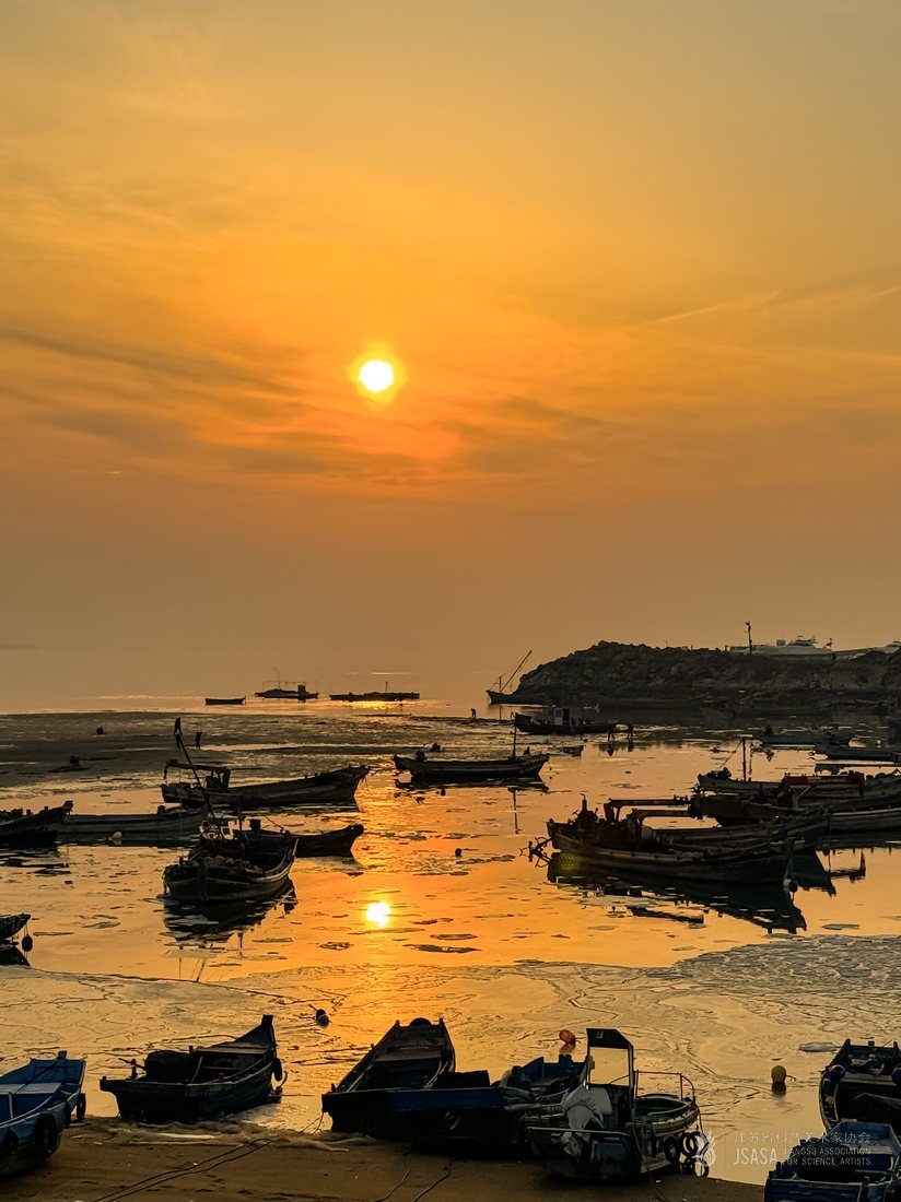 《海畔鱼韵》