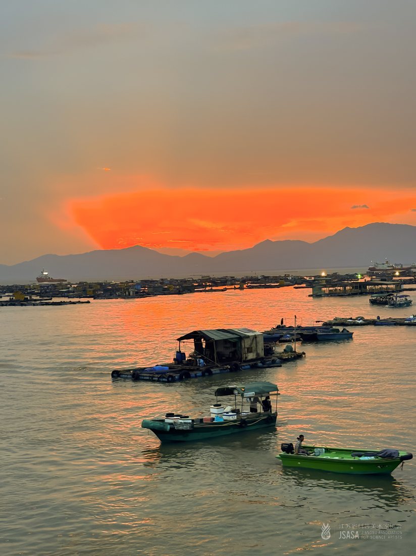 《海畔鱼韵》